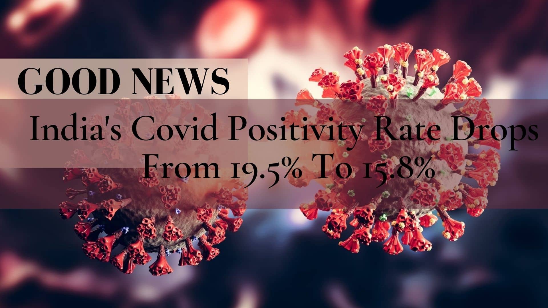 COVID-19 Live Updates: Good News, India's Covid Positivity Rate Drops From 19.5% To 15.8%; Country Logs 2.51L New Cases